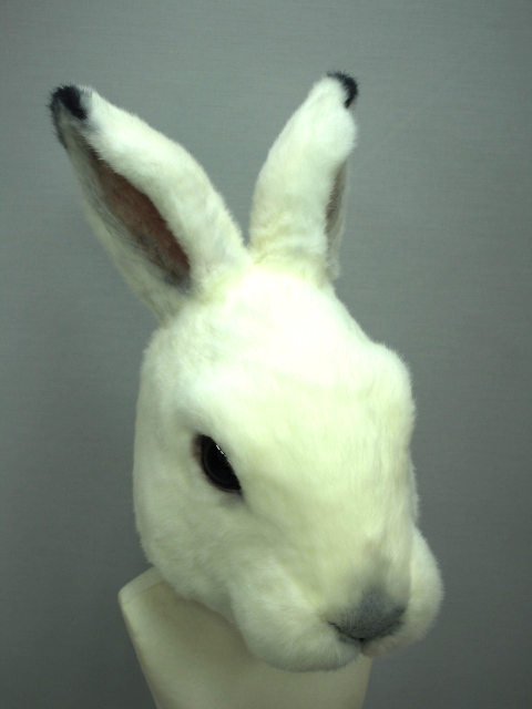 蝦夷ウサギ 着ぐるみ 製作